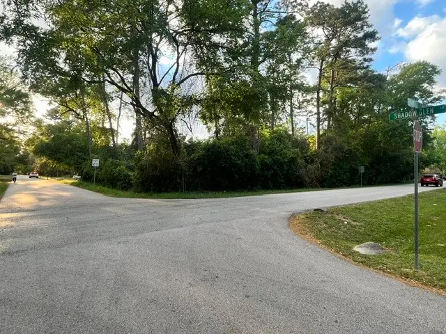 2351 Shadow Glen Ln, Spring, TX 77386 - #2