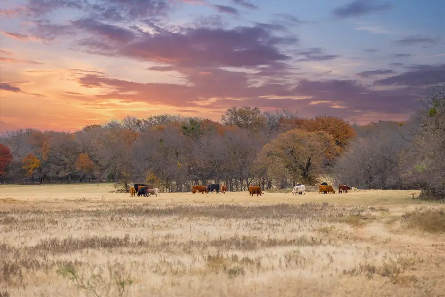 355 County Road 144, Comanche, TX 76442 - Image #2