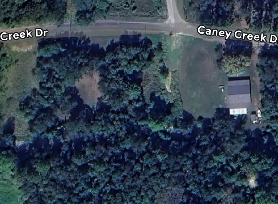 0 Caney Creek Drive, Livingston, TX 77351 - Image #3