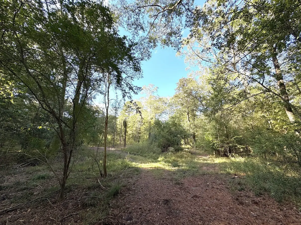 2080 County Road 1100, Woodville, TX 75979 - Image #1