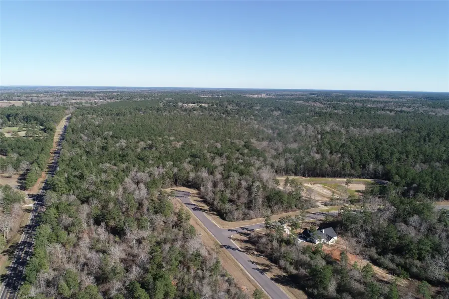 317 Iron Horse Road, New Waverly, TX 77358 - Image #3