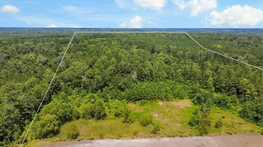 0 County Road 4090, Woodville, TX 75979 - Image #2