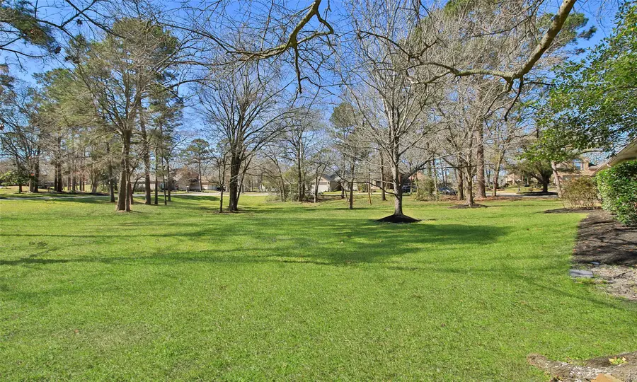 26 Winthrop Harbor Court, Montgomery, TX 77356 - #3