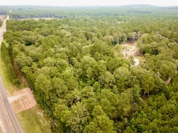 8499 Fm 92 S, Woodville, TX 75979