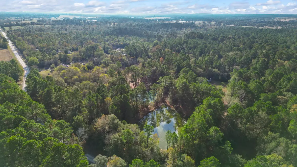 585 Bishop Road, Huntsville, TX 77320 - Image #1