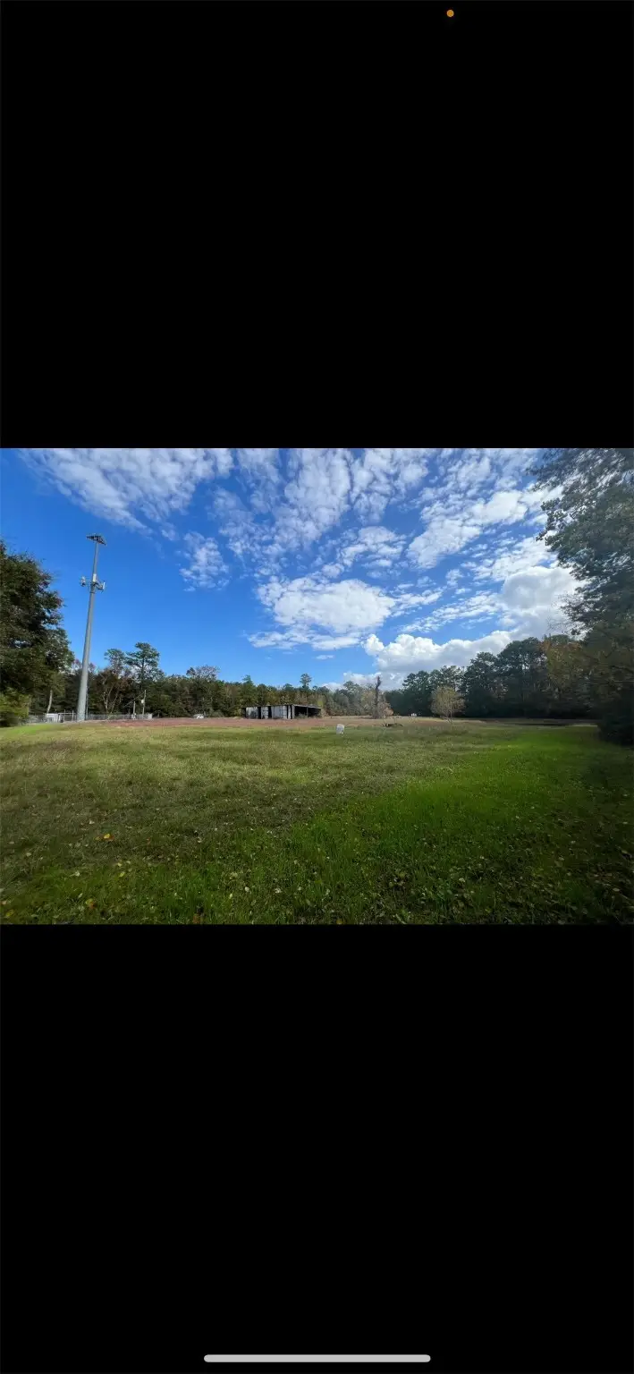 1705 Riley Fuzzel C Road, Spring, TX 77386 - Image #3