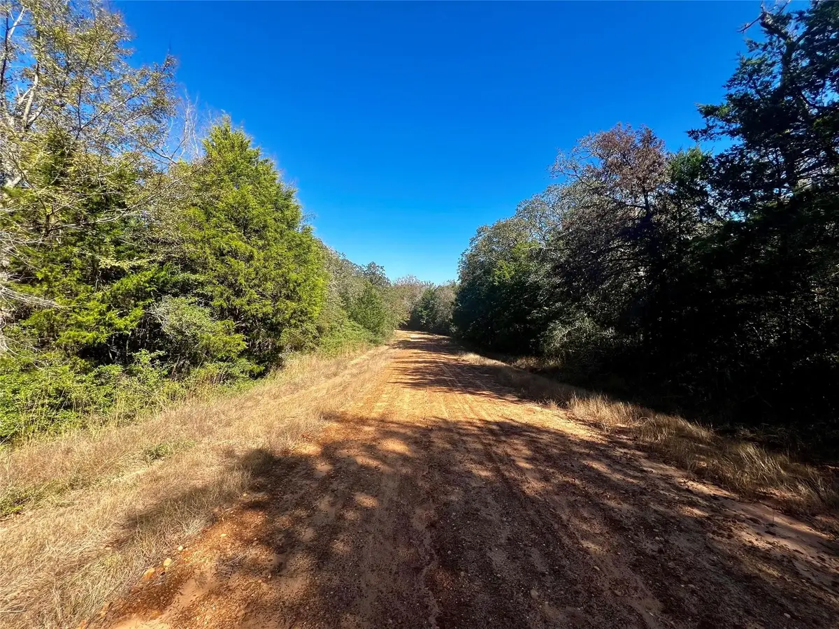 TBD Mockingbird, Normangee, TX 77871 - #1