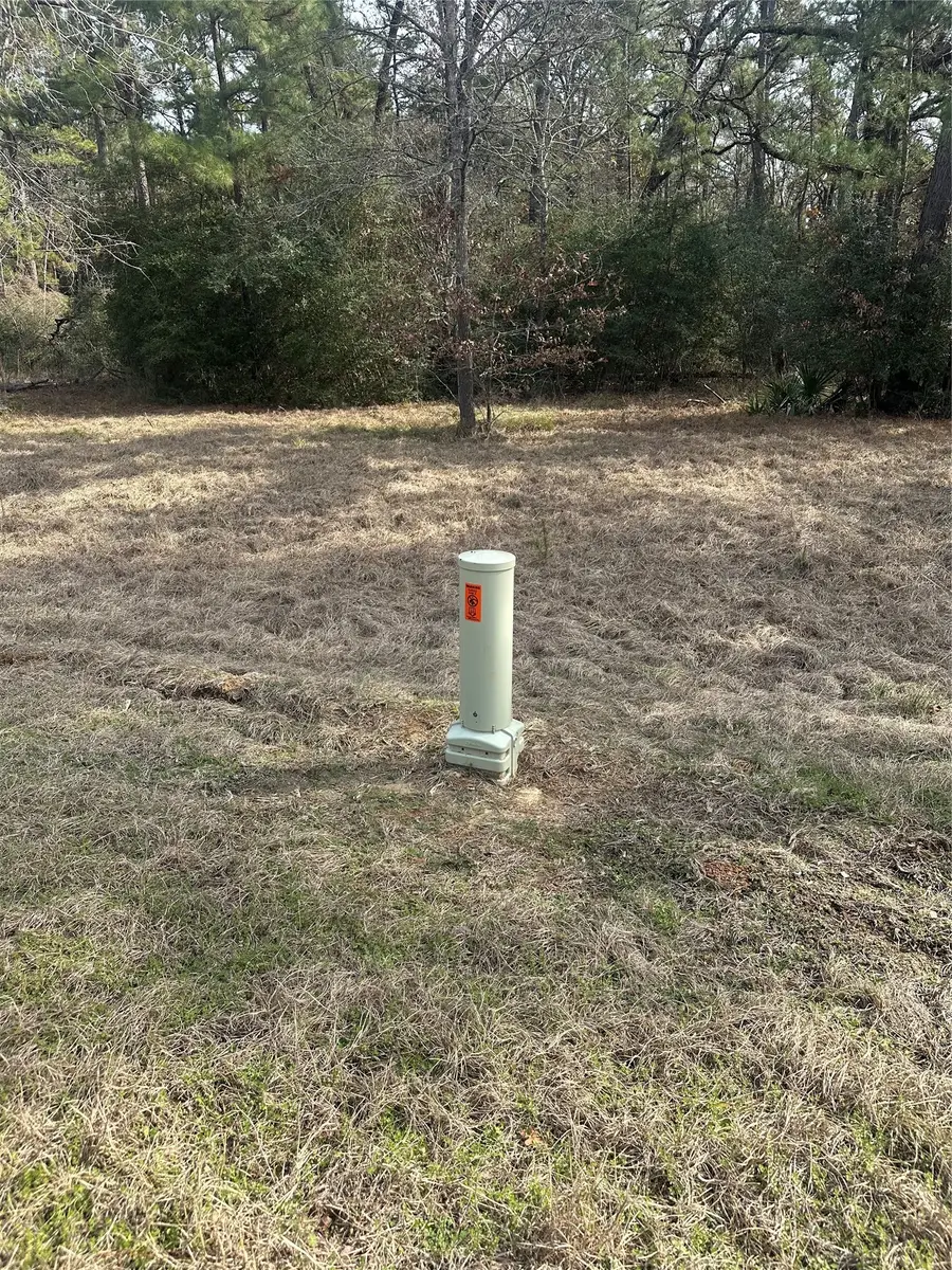TBD Cresent Farm Lane, Trinity, TX 75862 - #3