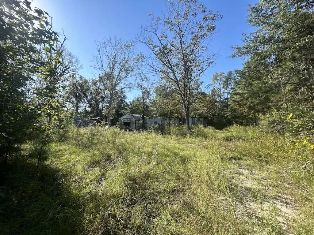 968 Church Street, Brookeland, TX 75931 - Image #1