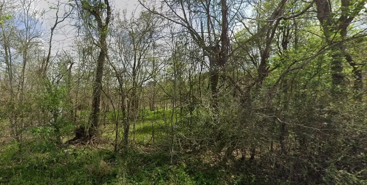 831 Drews Landing Rd, Goodrich, TX 77335 - #1