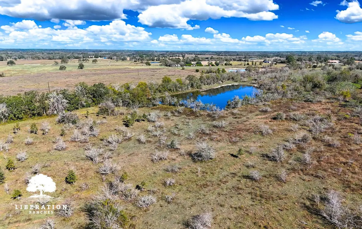 13316 Farm To Market Rd 2620 Tract 10, Bedias, TX 77831 - #1