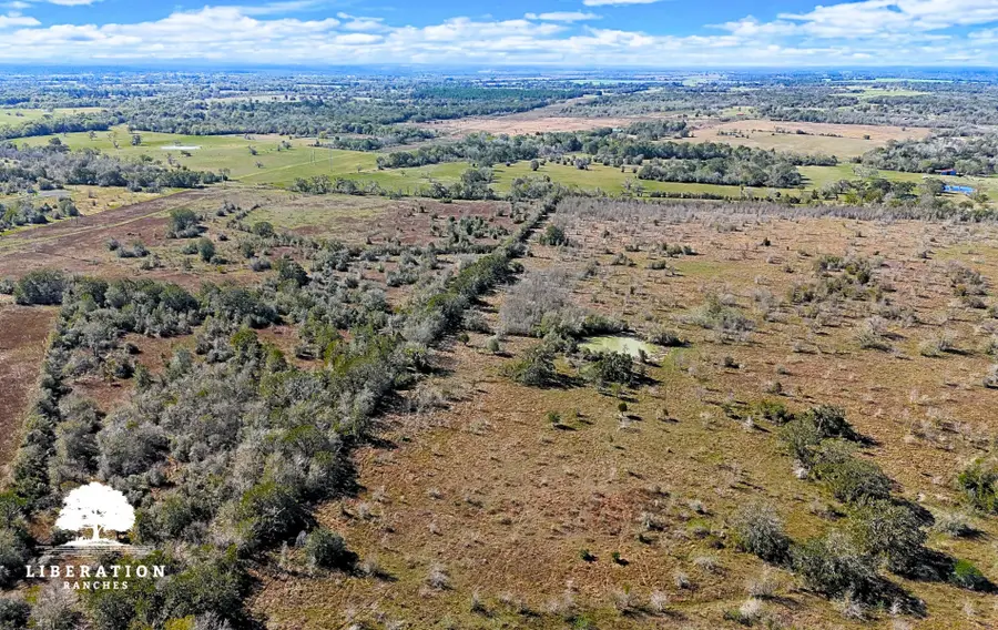 13316 Farm To Market Rd 2620 Tract 10, Bedias, TX 77831 - #3