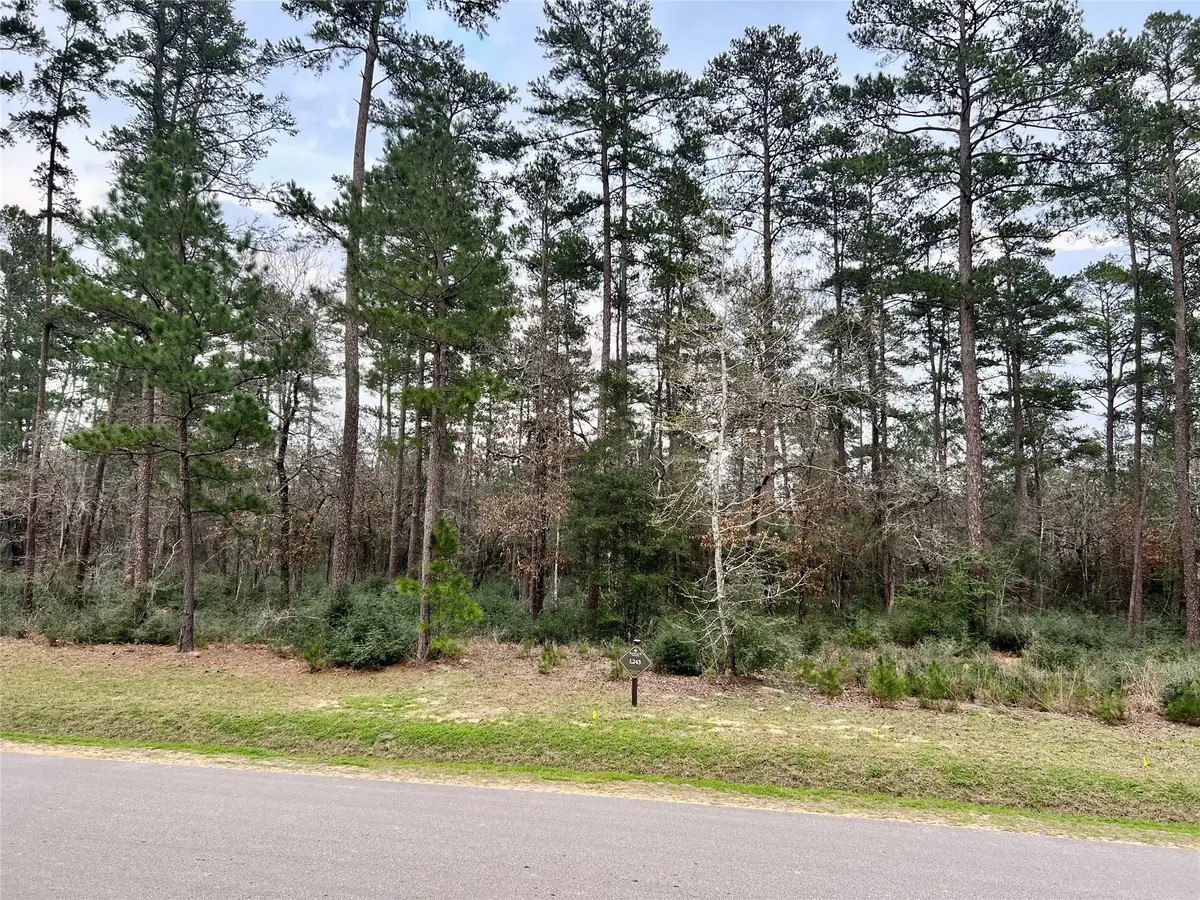 TBD 9 Lily Bean, Montgomery, TX 77316 - #1