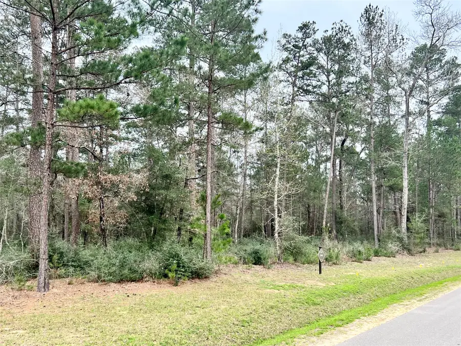 TBD 9 Lily Bean, Montgomery, TX 77316 - #2