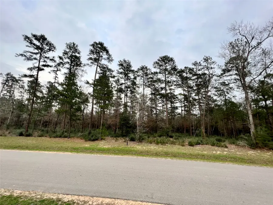TBD 9 Lily Bean, Montgomery, TX 77316 - #3