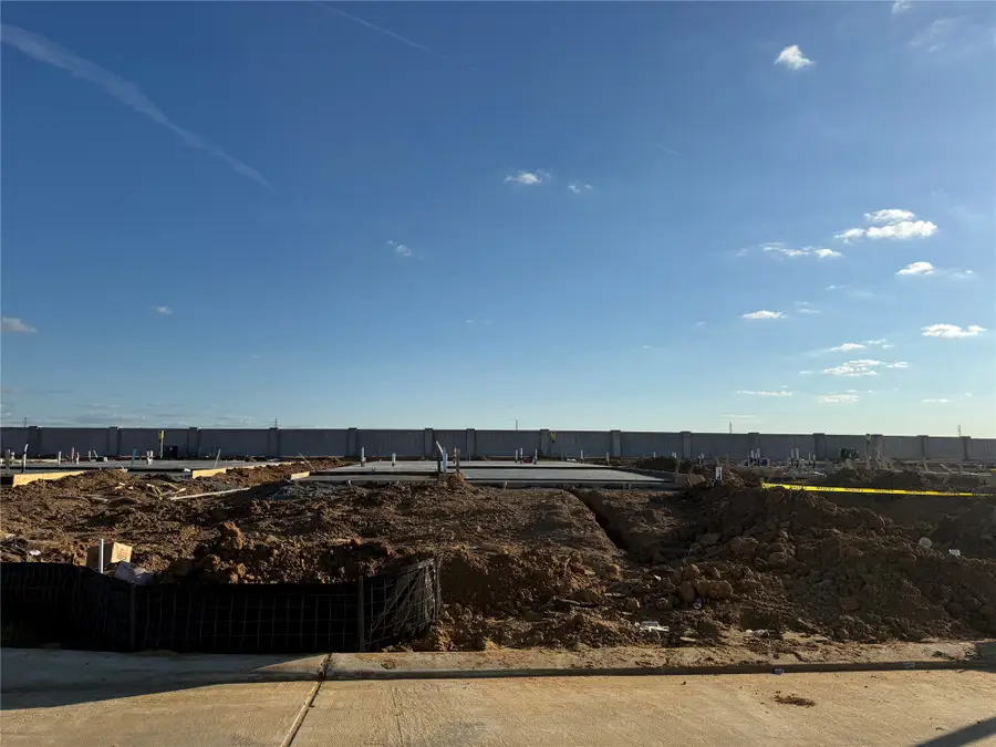 29207 Dandelion Sky Drive, Waller, TX 77484 - #2