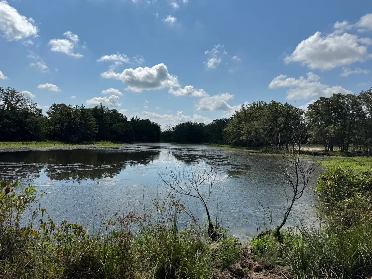 13115 Schoenemann Road, Carmine, TX 78932 - #1