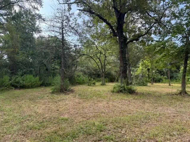 25571 Kimbro Road, Hockley, TX 77447 - #3