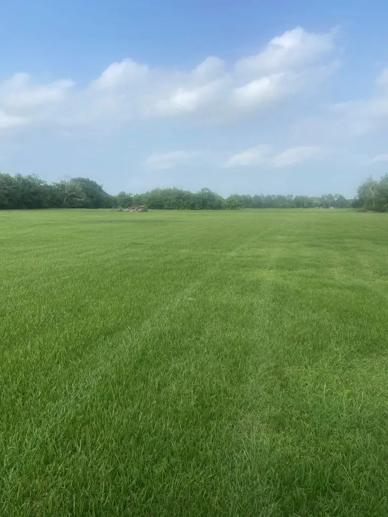 457 Sargent Drive, Bay City, TX 77414 - #3