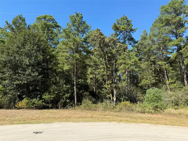 44-37-14 Larkspur Lane, New Waverly, TX 77358