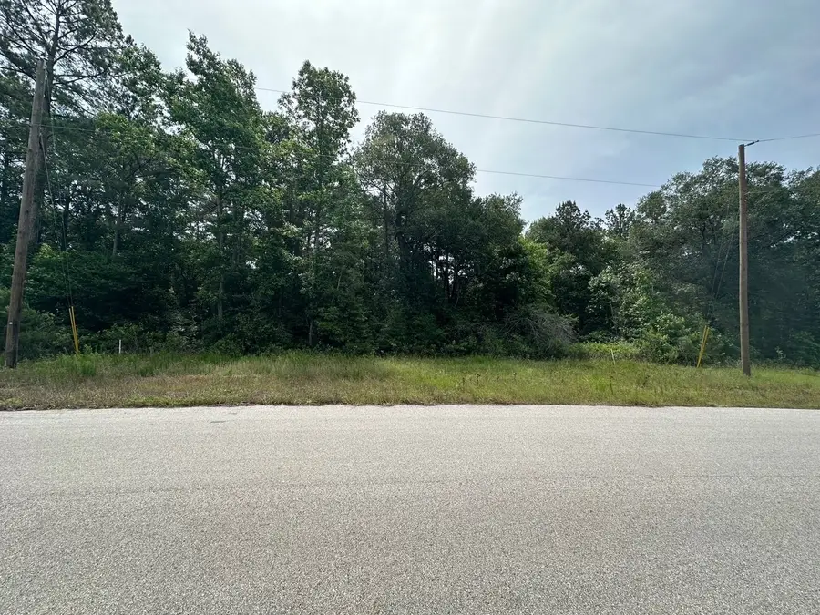 7-23-70 Sky Oak Lane, Huntsville, TX 77340 - Image #3