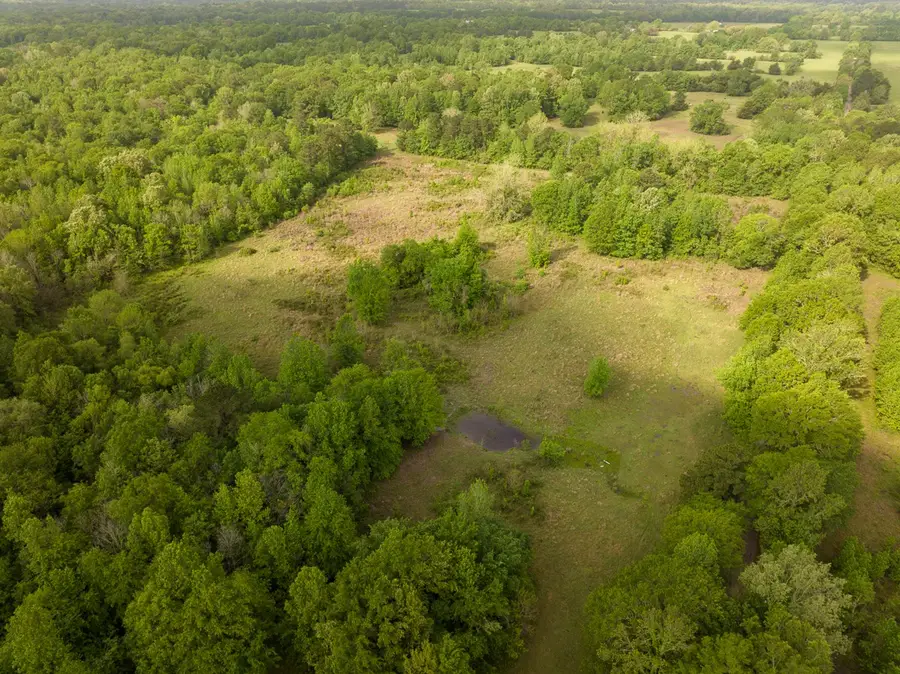 0 Fodice Road, Crockett, TX 75835 - #2