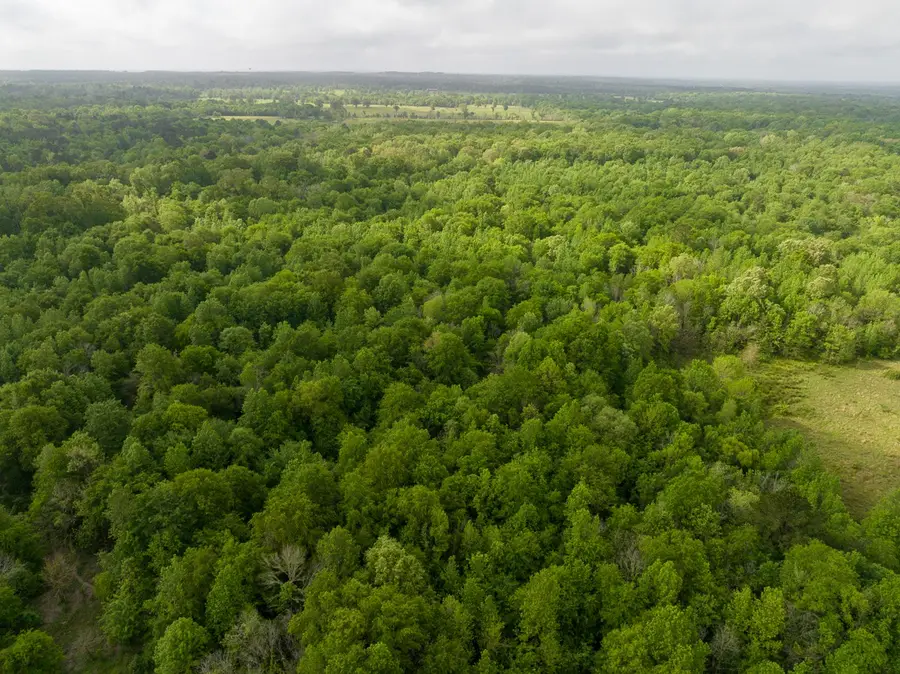 0 Fodice Road, Crockett, TX 75835 - #3