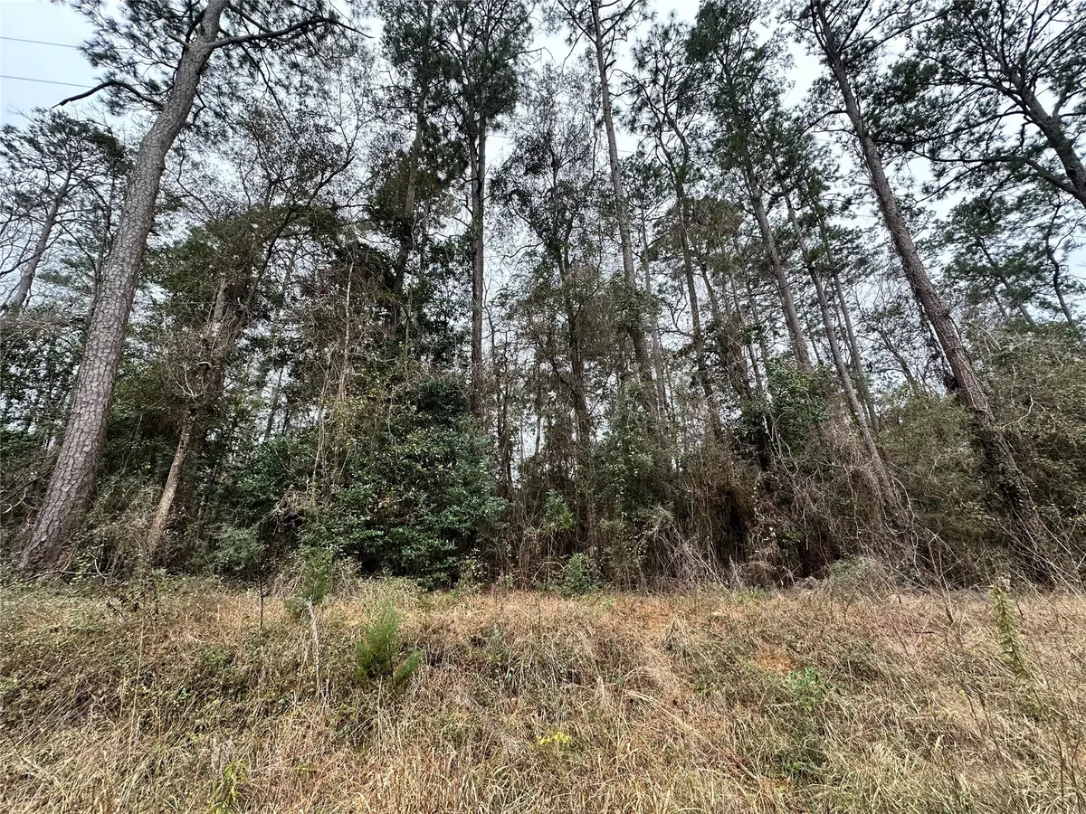 TBD The Ole Don Road, Livingston, TX 77351 - Image #1