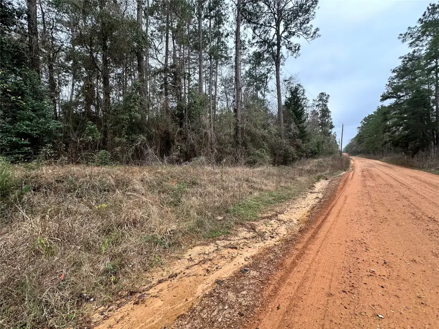 TBD The Ole Don Road, Livingston, TX 77351 - Image #2