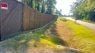 8740 & 8738 Dusty Lane, Conroe, TX 77306 - #3
