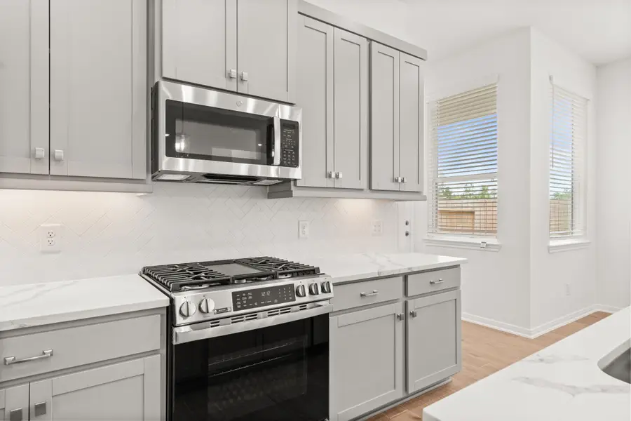 21226 Black Gap Wildlife Drive, Cypress, TX 77433 - Image #3