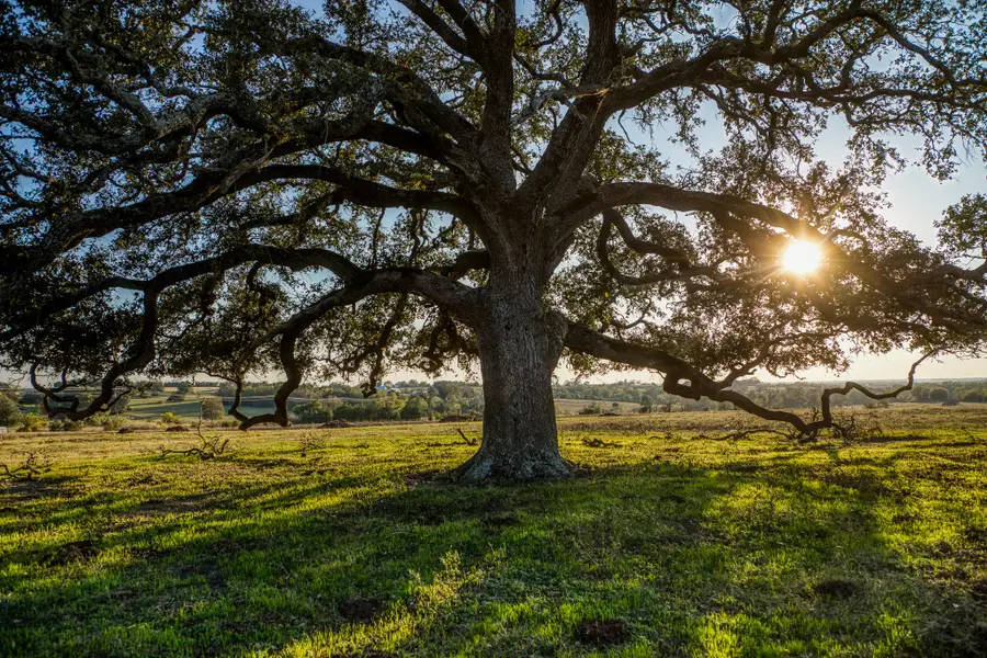 TBD Pleasant Hill School Road, Brenham, TX 77833 - #2