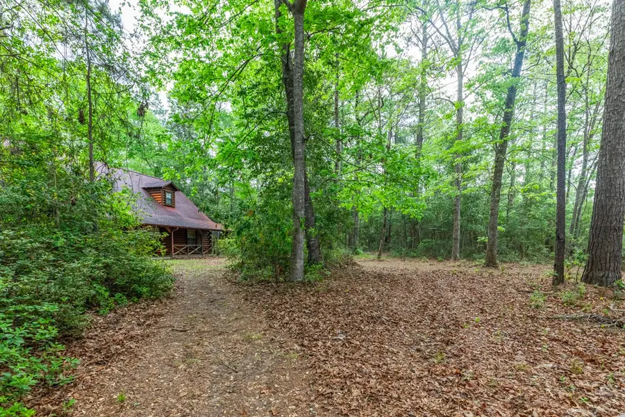 4864 Hob Warren Road, Sour Lake, TX 77659 - #2