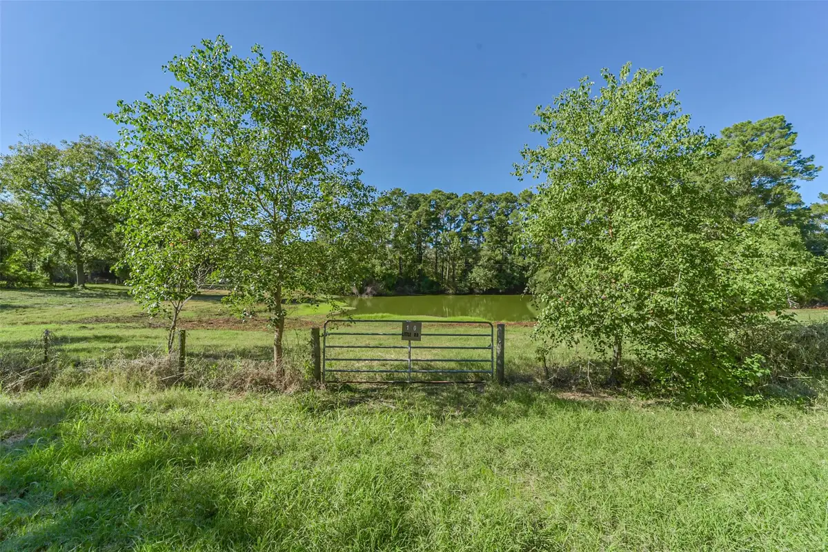 140 Little Road Loop, New Waverly, TX 77358 - Image #1
