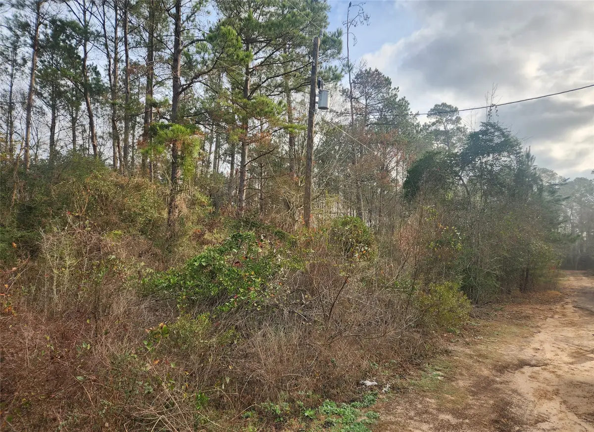 Lot 8 Yupon Lane, Plantersville, TX 77363 - #1