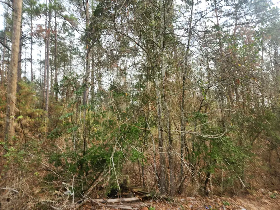 Lot 8 Yupon Lane, Plantersville, TX 77363 - #3
