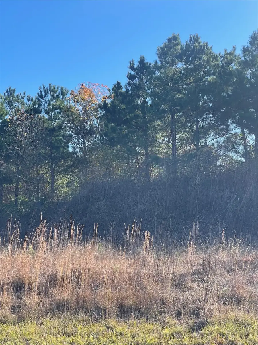 146 Road 5702, Cleveland, TX 77327 - Image #3