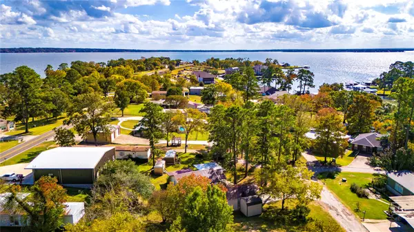 217 Brown Ave, Onalaska, TX 77360