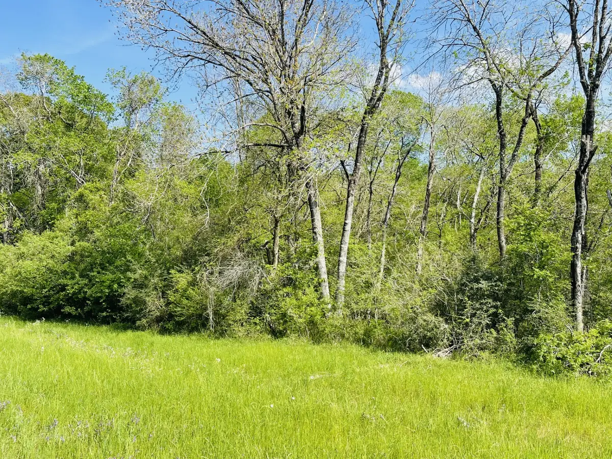 0000 Fm 1791, Huntsville, TX 77340 - #1