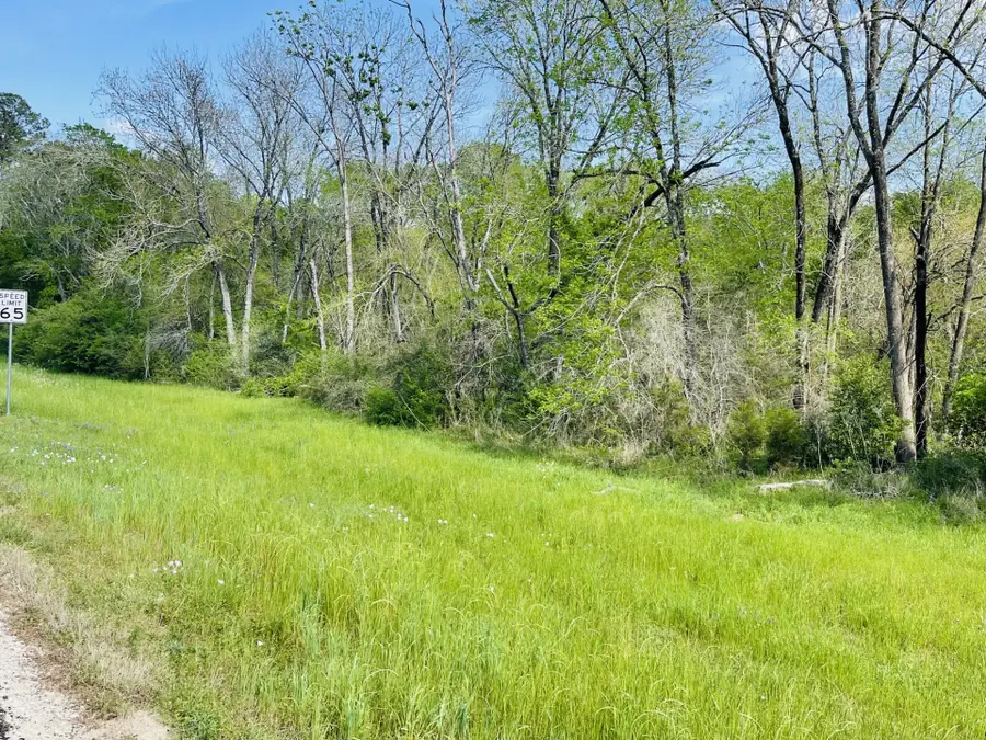 0000 Fm 1791, Huntsville, TX 77340 - #3