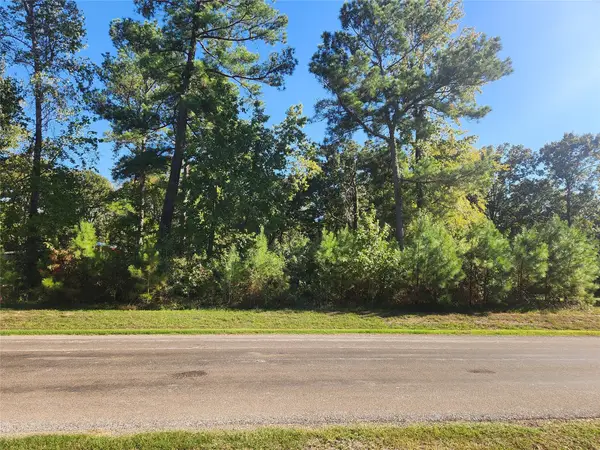 T.B.D. Hidden Oaks Drive, Point Blank, TX 77364