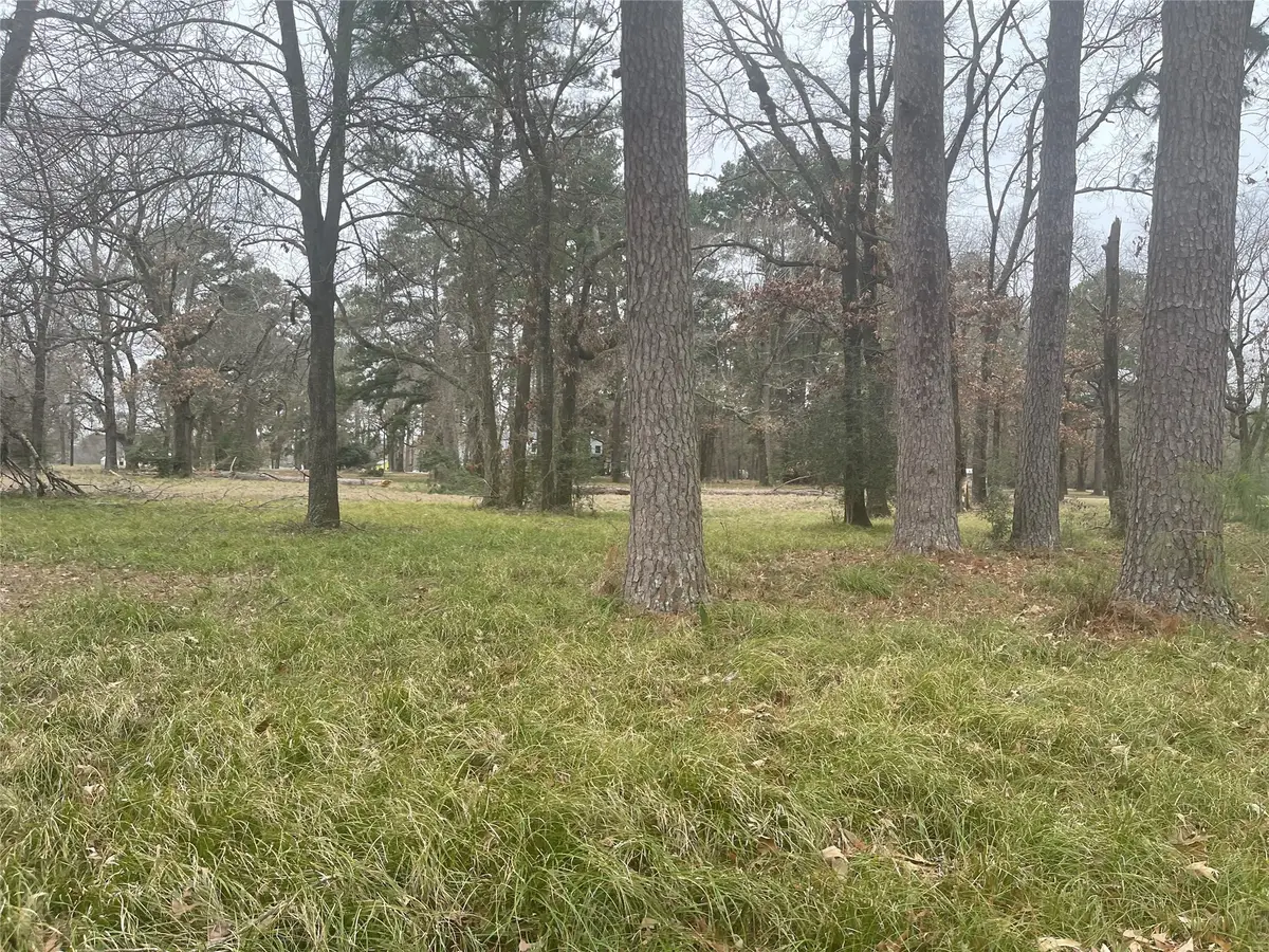 169 San Soucie Way, Trinity, TX 75862 - #1