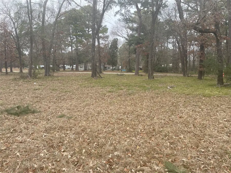 169 San Soucie Way, Trinity, TX 75862 - #2