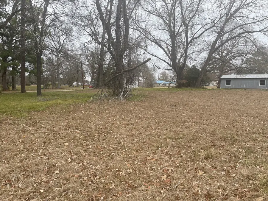 169 San Soucie Way, Trinity, TX 75862 - #3