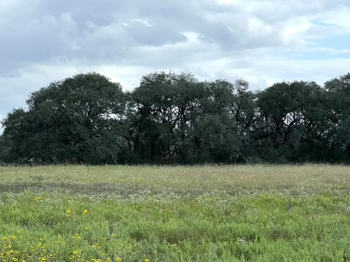 TR 4 (11.45 acs) Dancing Deer, Altair, TX 77412 - #1