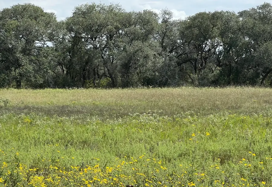 TR 4 (11.45 acs) Dancing Deer, Altair, TX 77412 - #3