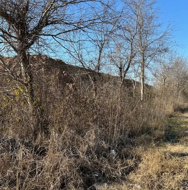 6305 Selinsky Road, Houston, TX 77048 - #2