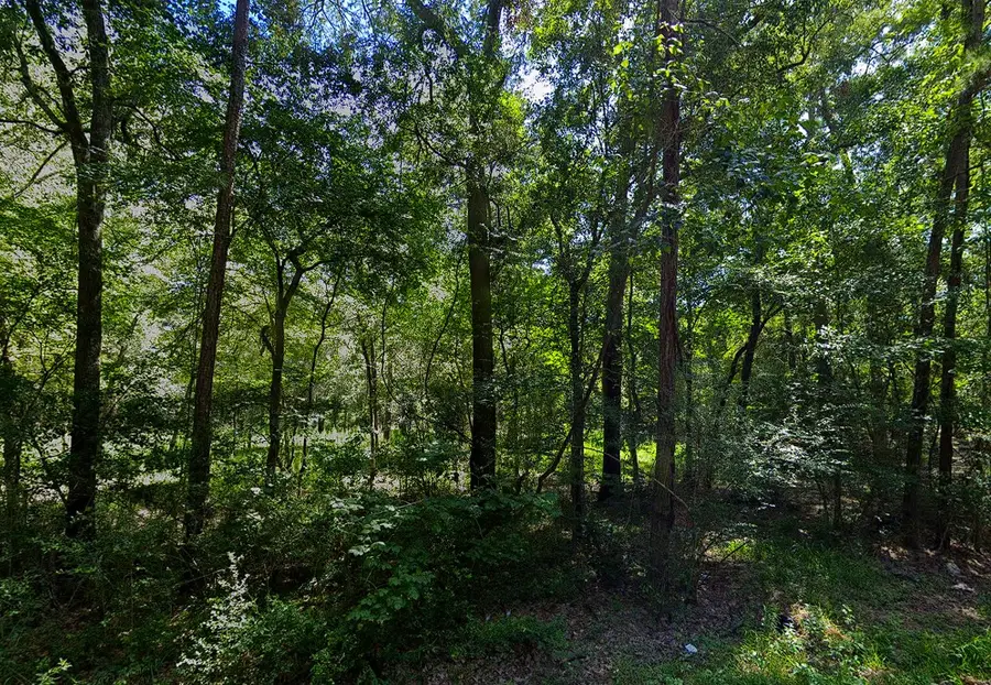 0 Pine Creek Road, Hockley, TX 77447 - Image #2