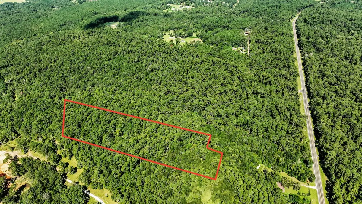 TBD Shepard Lane, Coldspring, TX 77331 - Image #1