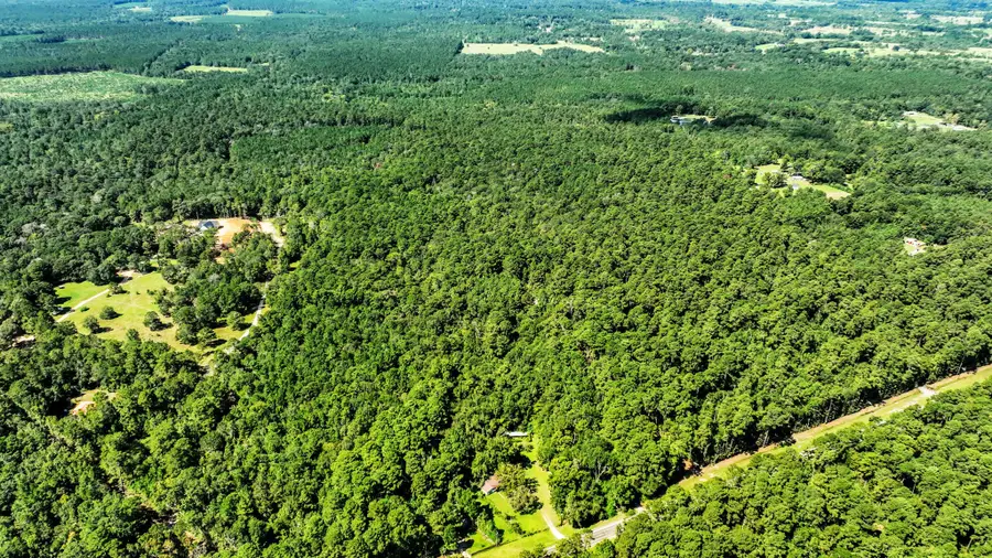 TBD Shepard Lane, Coldspring, TX 77331 - Image #3